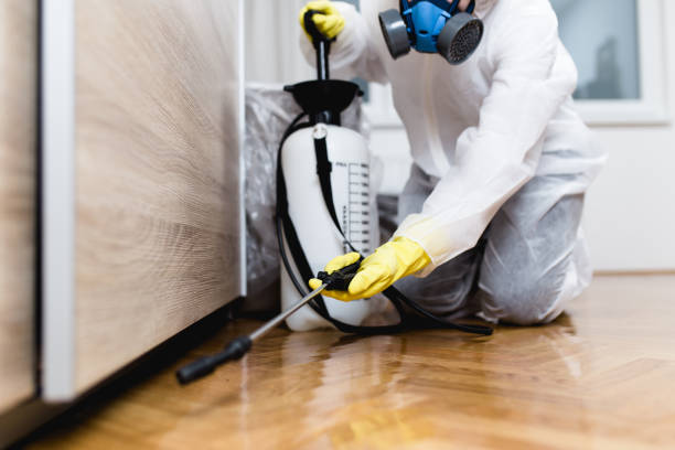 Best Cockroach Control Services  in Jamestown, TN