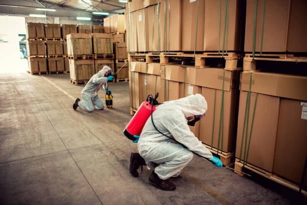 Best Bed Bug Extermination  in Jamestown, TN