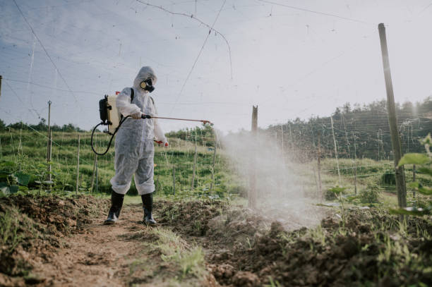 Best Local Pest Control Services  in Jamestown, TN