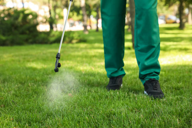 Best Exterminator Services  in Jamestown, TN