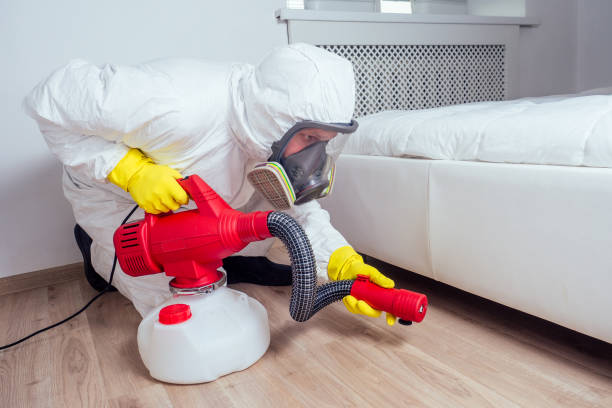 Best Insect Control  in Jamestown, TN