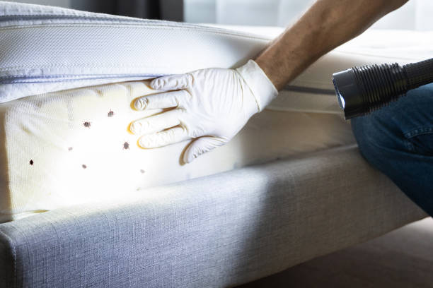 Best Commercial Pest Control Services  in Jamestown, TN