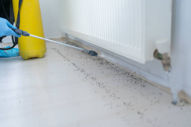 Best Affordable Pest Control Services  in Jamestown, TN