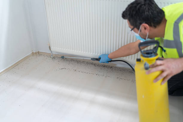 Best Pest Removal Services  in Jamestown, TN
